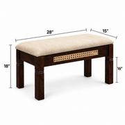 Raavi Solid Wood Cane Bench