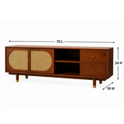 Nyshan Sheesham Wood TV Unit