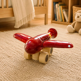 Wooden Explorer Airplane Toy