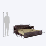 Rest solid wood sofa cum bed