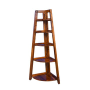 Fronex solid wood Ladder Bookshelf