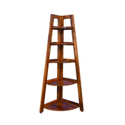 Fronex solid wood Ladder Bookshelf