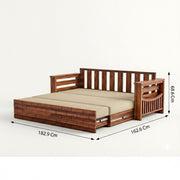 Delha Solid Wood Sofa Cum Bed