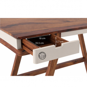 Goofy Study Table