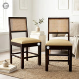 Mani solid wood Chairs (Set Of 2)