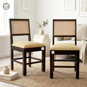 Mani solid wood Chairs (Set Of 2)