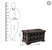 Anika Storage Trunk Cum Coffee Table