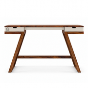 Goofy Study Table